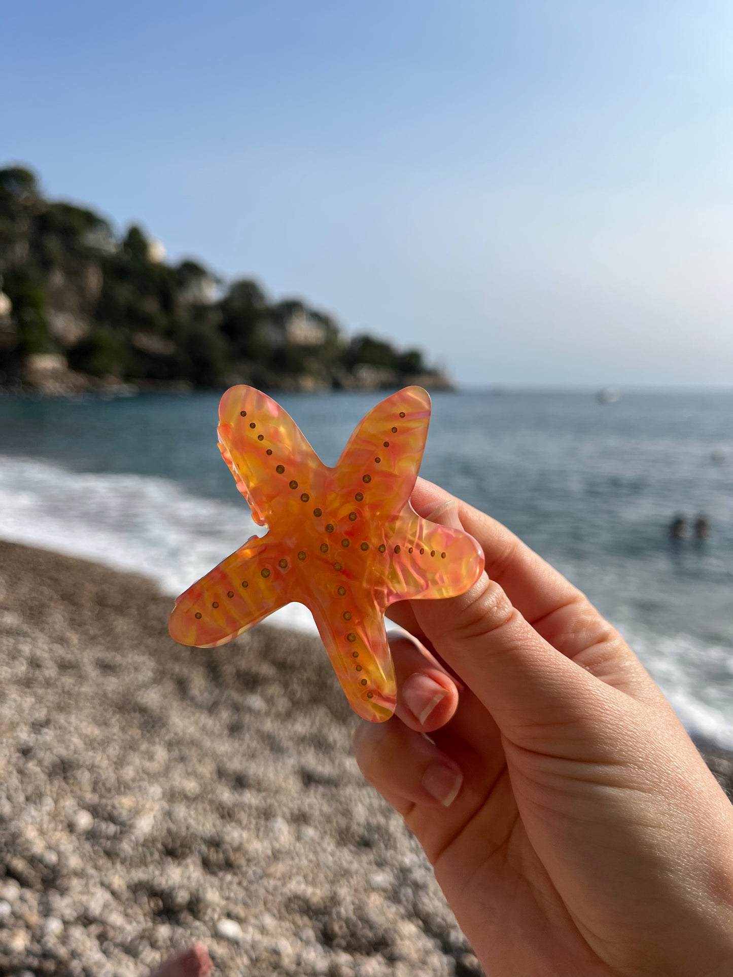 Clip de estrella de mar