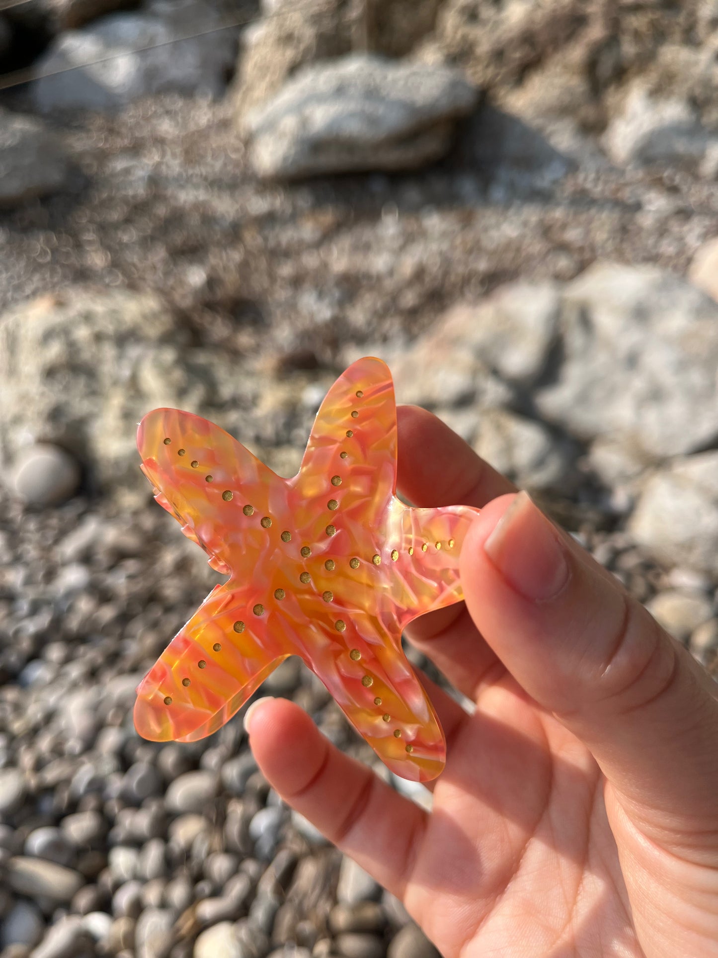 Clip de estrella de mar