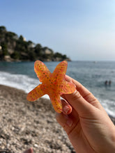 Load image into Gallery viewer, Starfish Clip
