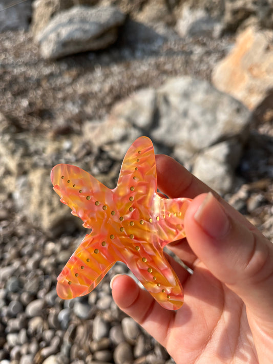 Clip de estrella de mar