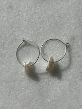 Load image into Gallery viewer, Baby Pearl Earrings

